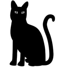 Kitty Cat