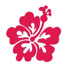 Simple Hibiscus
