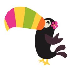 Toucan