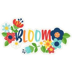 bloom