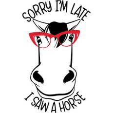 Sorry I'm late I saw a horse