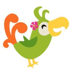 Tropical Bird