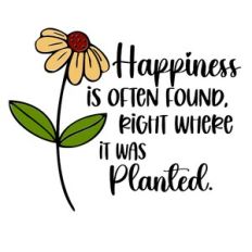Happiness is found where it was Planted
