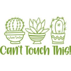 can't touch this
