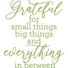 gratefull for small things