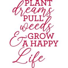 plant dreams