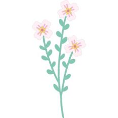 Flower 10