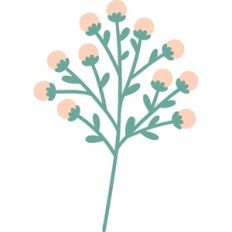Flower 12