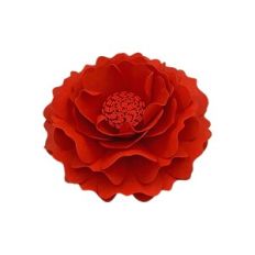 Flower 172
