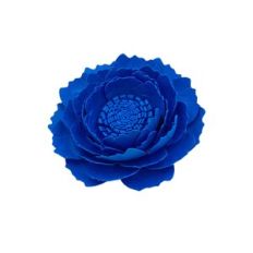 Flower 177