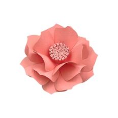 Flower 178