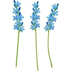 Wild flower