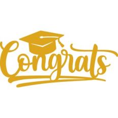 Congrats Cake Topper