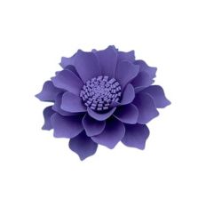 Flower 173
