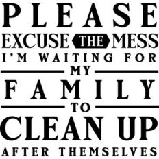 Excuse Mess Waiting For Family To Clean Up After Themselves
