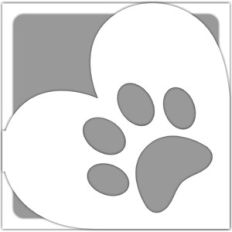 paw heart card