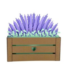 Lavender Crate Box Card