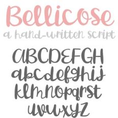 PN Bellicose