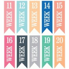 set of 10 weeks 11-20 banners