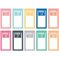 set of 10 weeks 11-20 paperclips