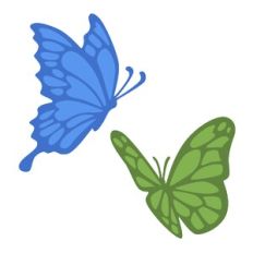 Butterflies