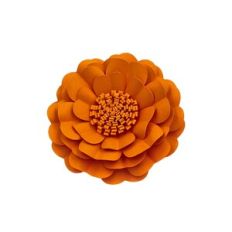 Flower 179