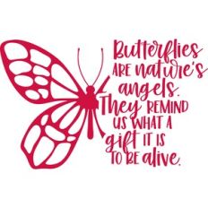 butterflies are nature's angels