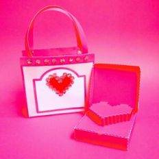 Handbag with Pop Up Box