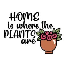 Home Is Where The Plants Are