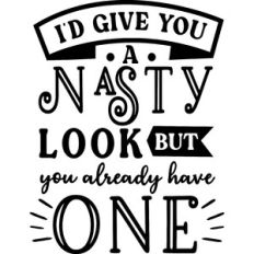I'd Give You A Nasty Look But You Already Have One