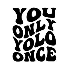 You Only Yolo Once