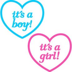 its a boy and its a girl hearts