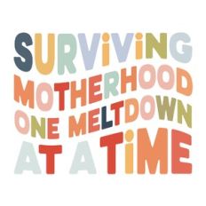 Surviving motherhood one meltdown at a time