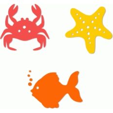 summer sea life