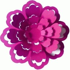 3d pop out petals flower
