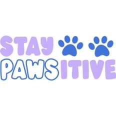 Stay Pawsitive