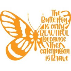 the butterfly is only beautiful because the caterpillar is brave