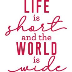 life is short and the world is wide