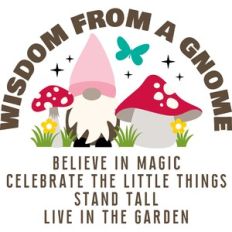 wisdom from a gnome