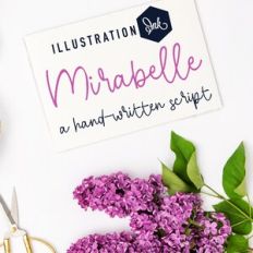 PN Mirabelle