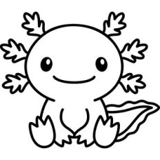 Axolotl