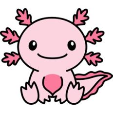 Axolotl