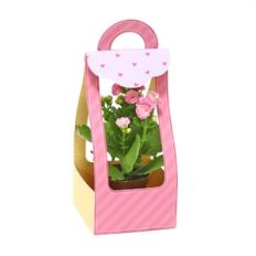 Medium Bag - Beaked