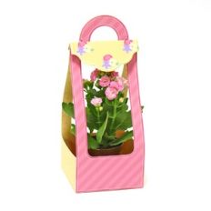 Medium Bag - Waved