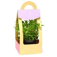 Large Bag - Arch