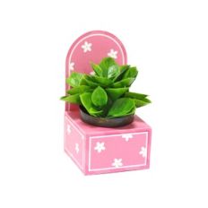 Mini Box with crib - Arch