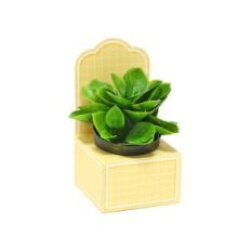 Mini Box with crib - Beaked