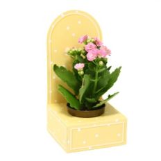 Small Box with crib - Arch