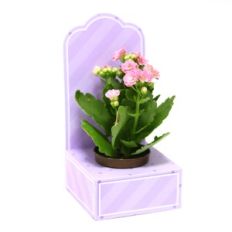 Small Box with crib - Beaked