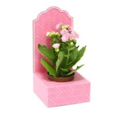 Small Box with crib - Waved
